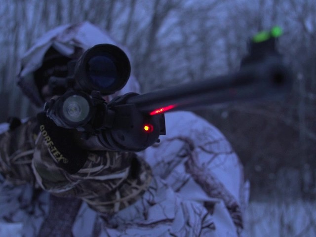 RUGER 10/22 LASER SIGHT        - image 4 from the video